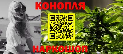 Альфа ПВП Ачхой-Мартан