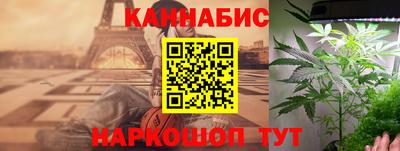 дживик Аша