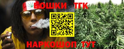 дживик Аша