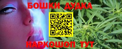 дживик Аша